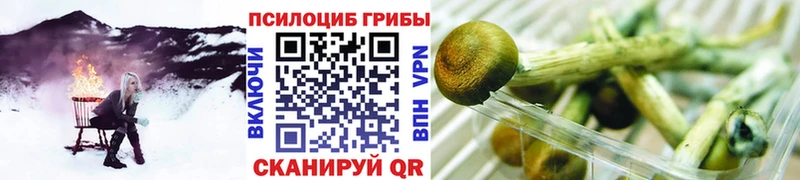 где купить наркоту  Ялуторовск  Галлюциногенные грибы Magic Shrooms 