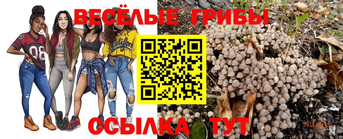 Псилоцибиновые грибы Magic Shrooms Ялуторовск