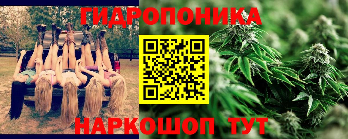 Шишки марихуана сатива Ялуторовск